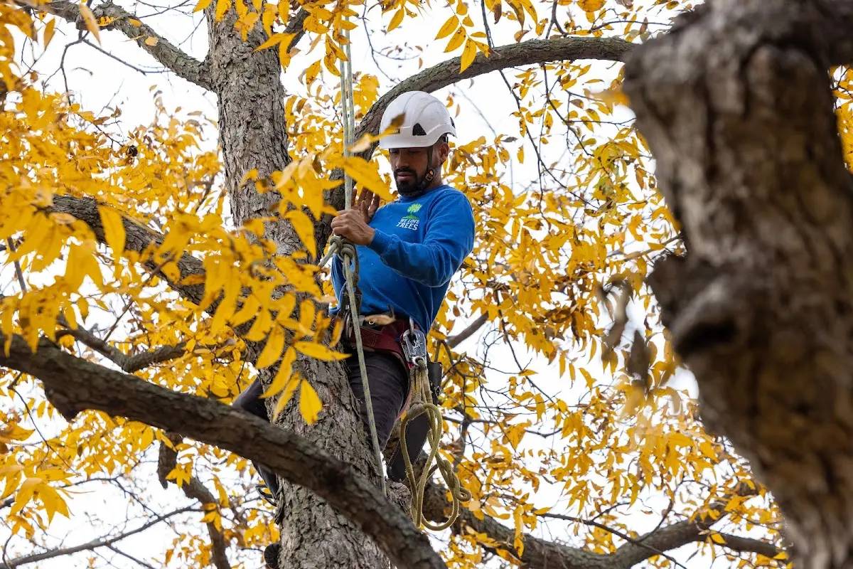 Skilled Storm Damage Cleanup crew working in Earlington