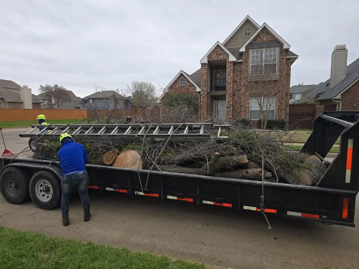 Expert Crown Reduction with proper safety equipment in Earlington